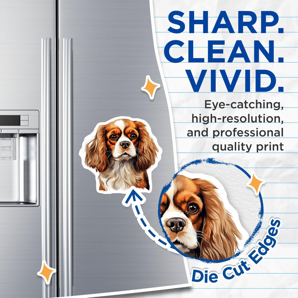 (2 Pack) Cavalier King Charles Spaniel Magnets - Dog Lover Fridge Decor - Pet Owner Refrigerator Accessory - 5 Inches On Longest Side - Thick Durable Magnet - Made in USA - MAG28917