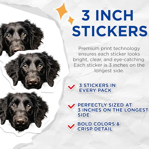 (3 Pack) Flat Coated Retriever Decals - Dog Breed Stickers - Pet Lover Decal - 3 Inches On Longest Side - Easy Peel & Apply - Made in USA - 3MCS8709