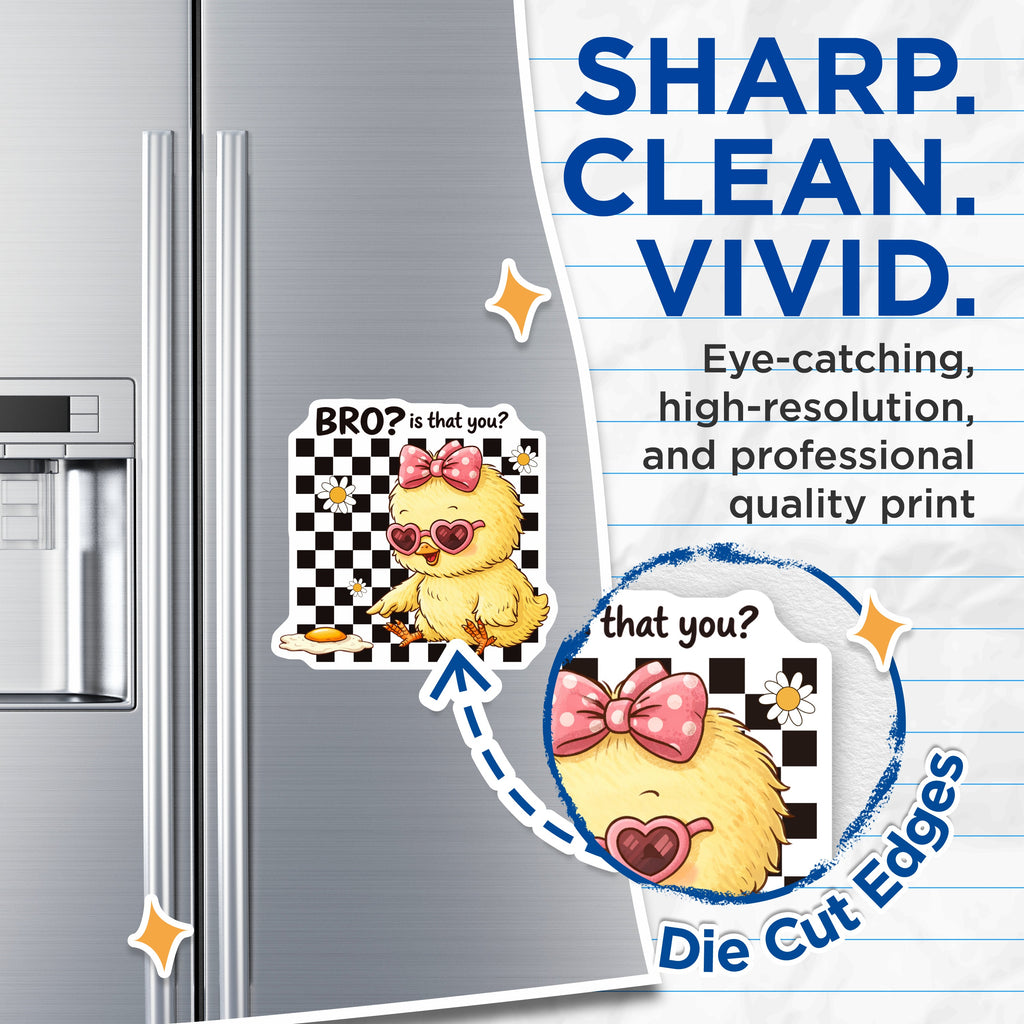 (2 Pack) Funny Chick Magnets - Bro is that You Egg - Y2K Aesthetic Fridge Magnets - 5 Inches On Longest Side - Thick Durable Magnet - Made in USA - MAG38541
