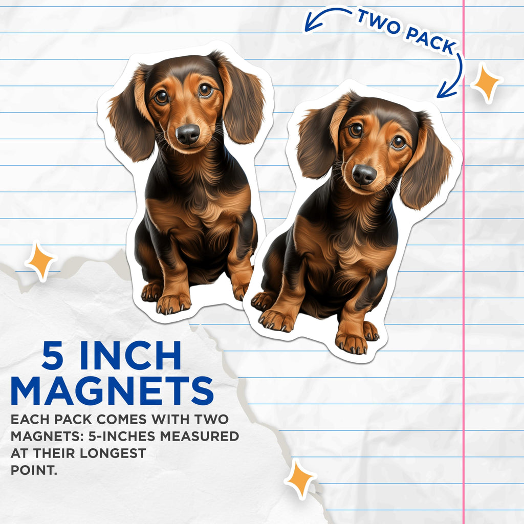 (2 Pack) Long Haired Dachshund Magnets - Doxie Lover Decor - Dog Mom Fridge Art - 5 Inches On Longest Side - Thick Durable Magnet - Made in USA - MAG26086