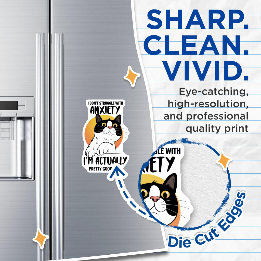 (2 Pack) Funny Cat Magnets - Anxiety Quote - Sarcastic Kitty Fridge Decor - 5" On Longest Side - Premium Magnet - for Cars, Refrigerators, Toolboxes, Lockers - Made in USA - MAG15809
