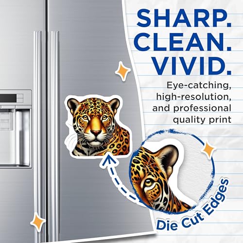 (2 Pack) Leopard Animal Magnets - Big Cat Art - Wild Animal Fridge - 5" On Longest Side - for Cars, Fridges, Toolboxes - Made in USA - MAG4518