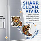 (2 Pack) Leopard Animal Magnets - Big Cat Art - Wild Animal Fridge - 5" On Longest Side - for Cars, Fridges, Toolboxes - Made in USA - MAG4518