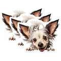 (3 Pack) Chinese Crested Decals - Hairless Dog Decals - Cute Puppy Pet Stickers - 3 Inches On Longest Side - Easy Peel & Apply - Made in USA - 3MCS8693