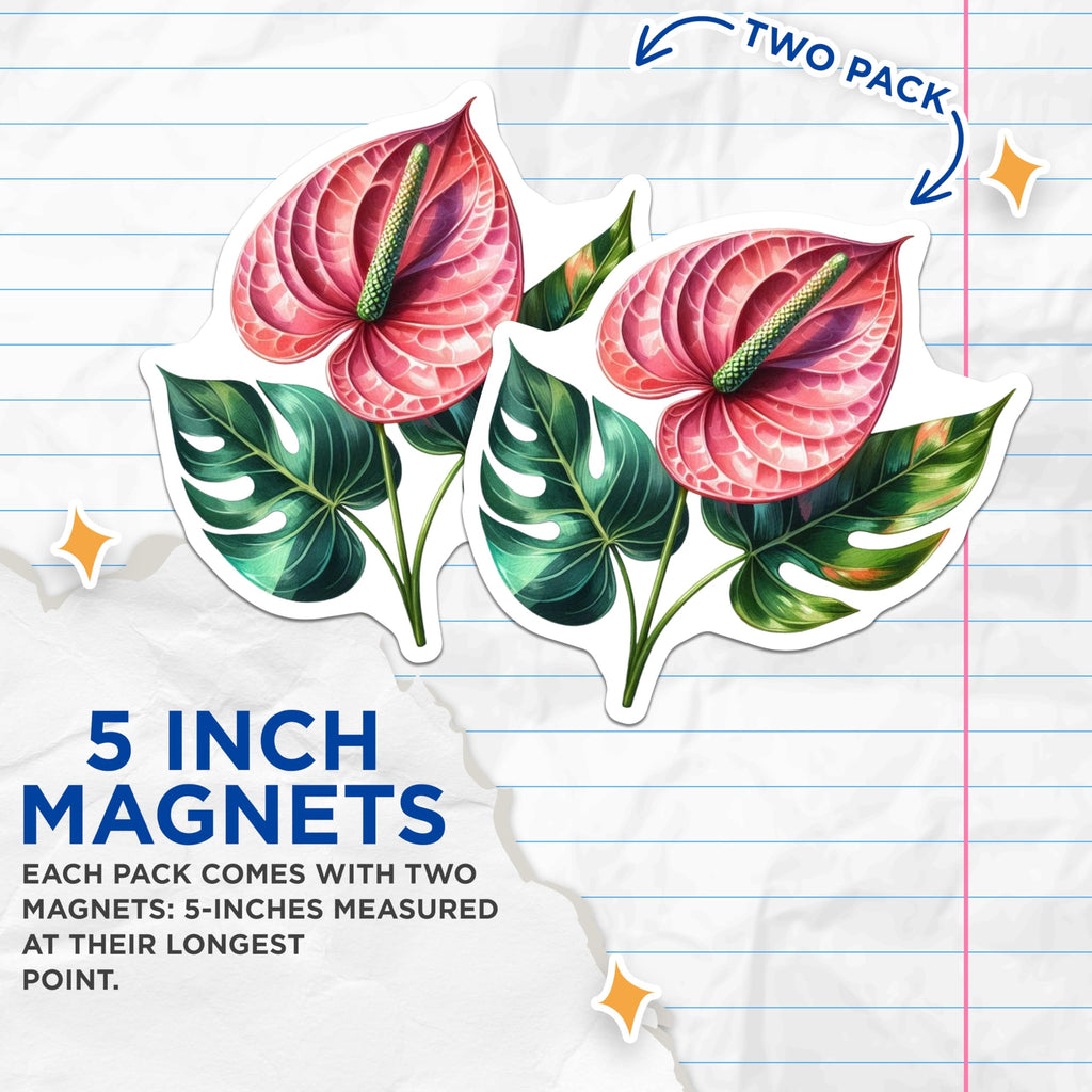 (2 Pack) Anthurium Magnets - Tropical Flower Decor - Exotic Botanical Art - 5 Inches On Longest Side - Thick Durable Magnet - Made in USA - MAG20219