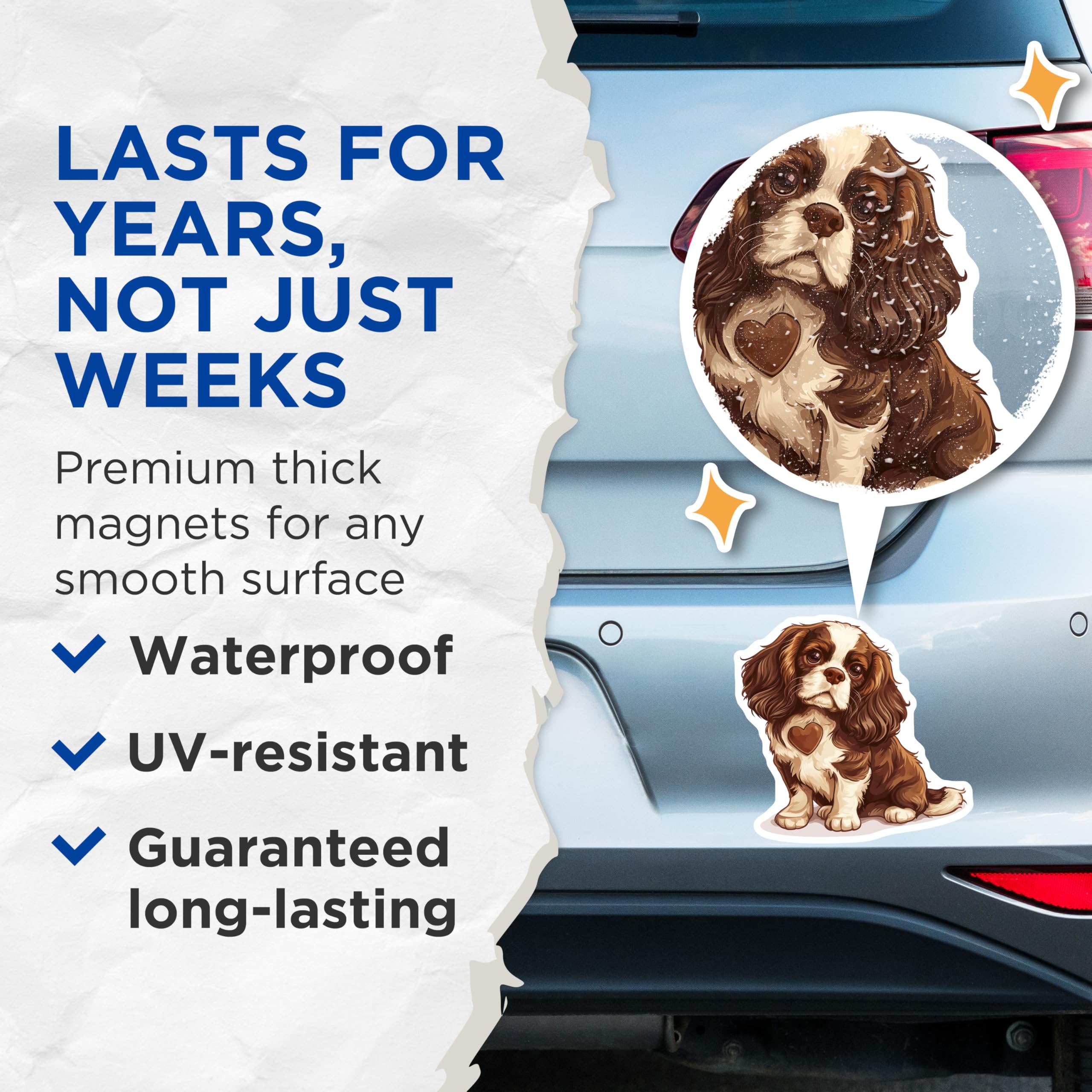 (2 Pack) Cavalier Spaniel Magnets - Dog Breed Art - Cute Puppy Fridge Magnets - 5" On Longest Side - Premium Magnet - for Cars, Refrigerators, Toolboxes, Lockers - Made in USA - MAG16998