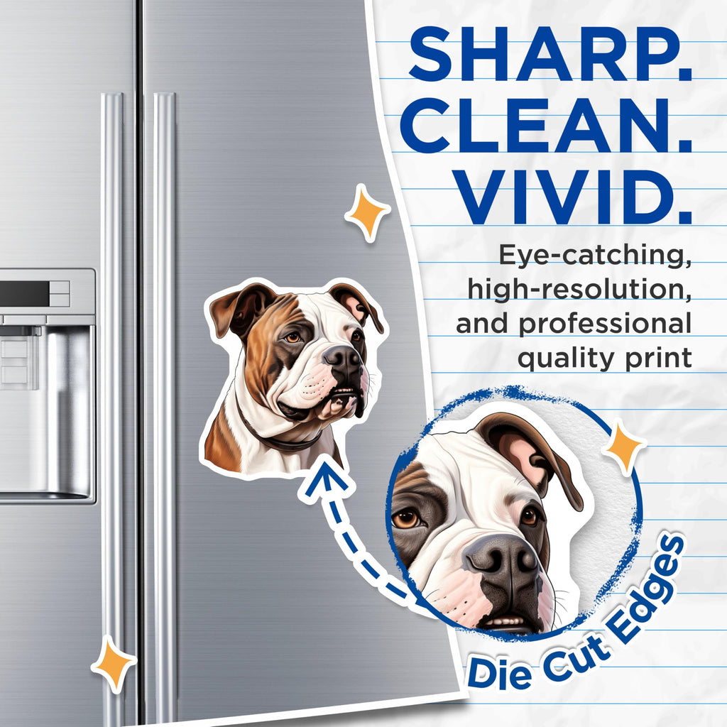 (2 Pack) American Bulldog Magnets - Dog Breed Refrigerator Decor - Canine Home Kitchen Accent - 5 Inches On Longest Side - Thick Durable Magnet - Made in USA - MAG24523
