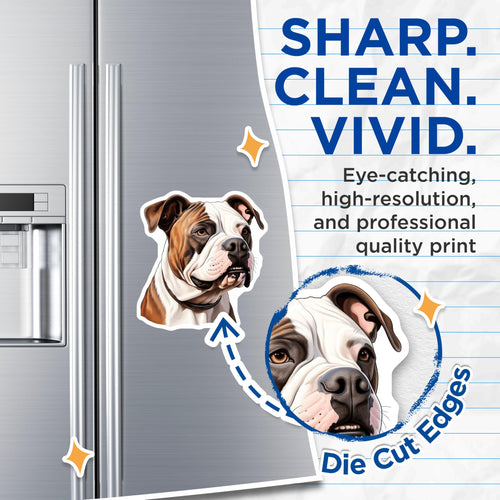(2 Pack) American Bulldog Magnets - Dog Breed Refrigerator Decor - Canine Home Kitchen Accent - 5 Inches On Longest Side - Thick Durable Magnet - Made in USA - MAG24523