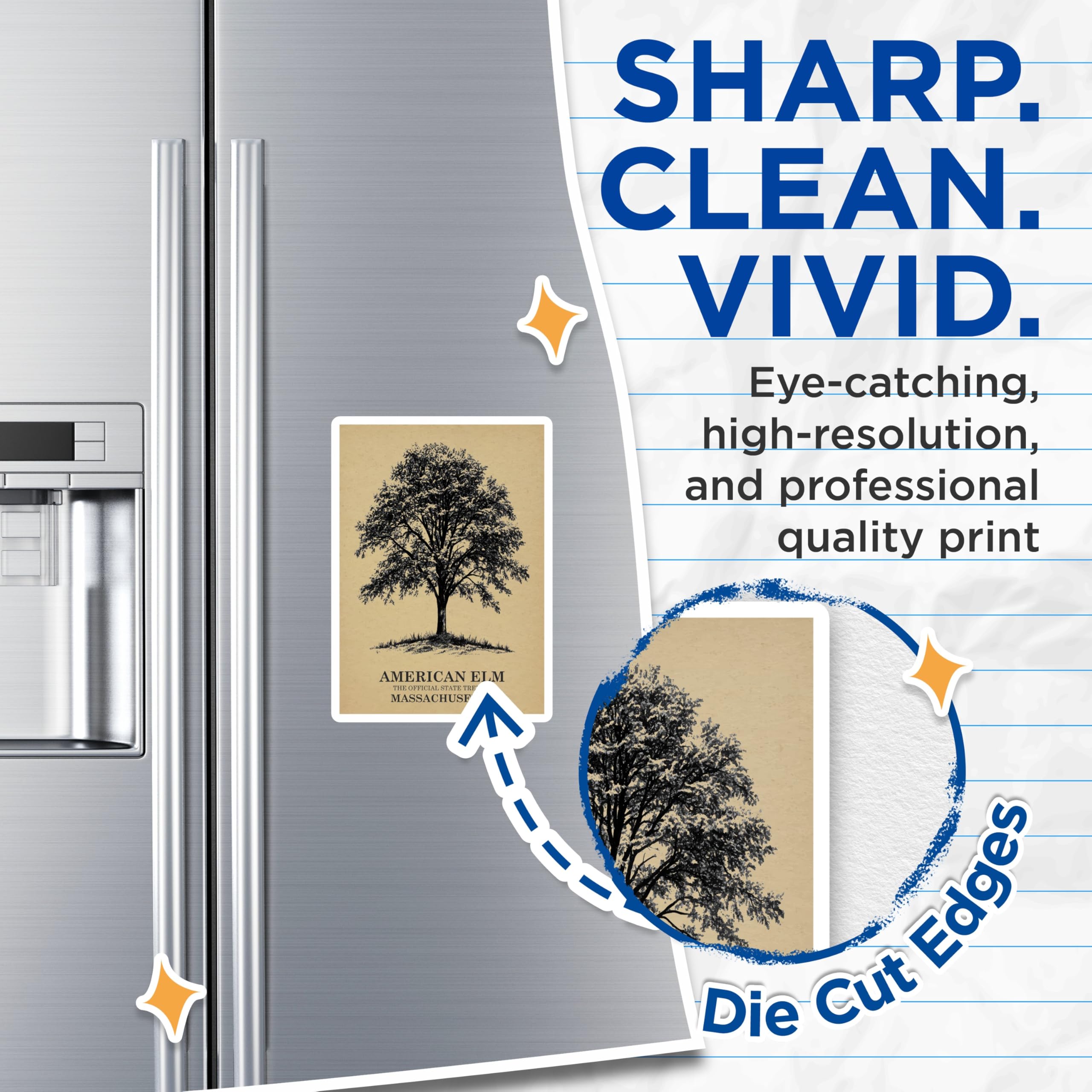 (2 Pack) American Elm Magnets - Massachusetts State Tree - Tree Decor Magnet - 5" On Longest Side - Premium Magnet - for Cars, Refrigerators, Toolboxes, Lockers - Made in USA - MAG17454