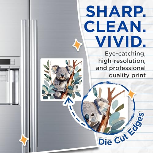 (2 Pack) Cute Koala Bear Magnets Magnets - Animal Lovers - Unique Home Decor - 5" On Longest Side - Made in USA - Sticks to Refrigerators & Metal Surfaces - MAG8691