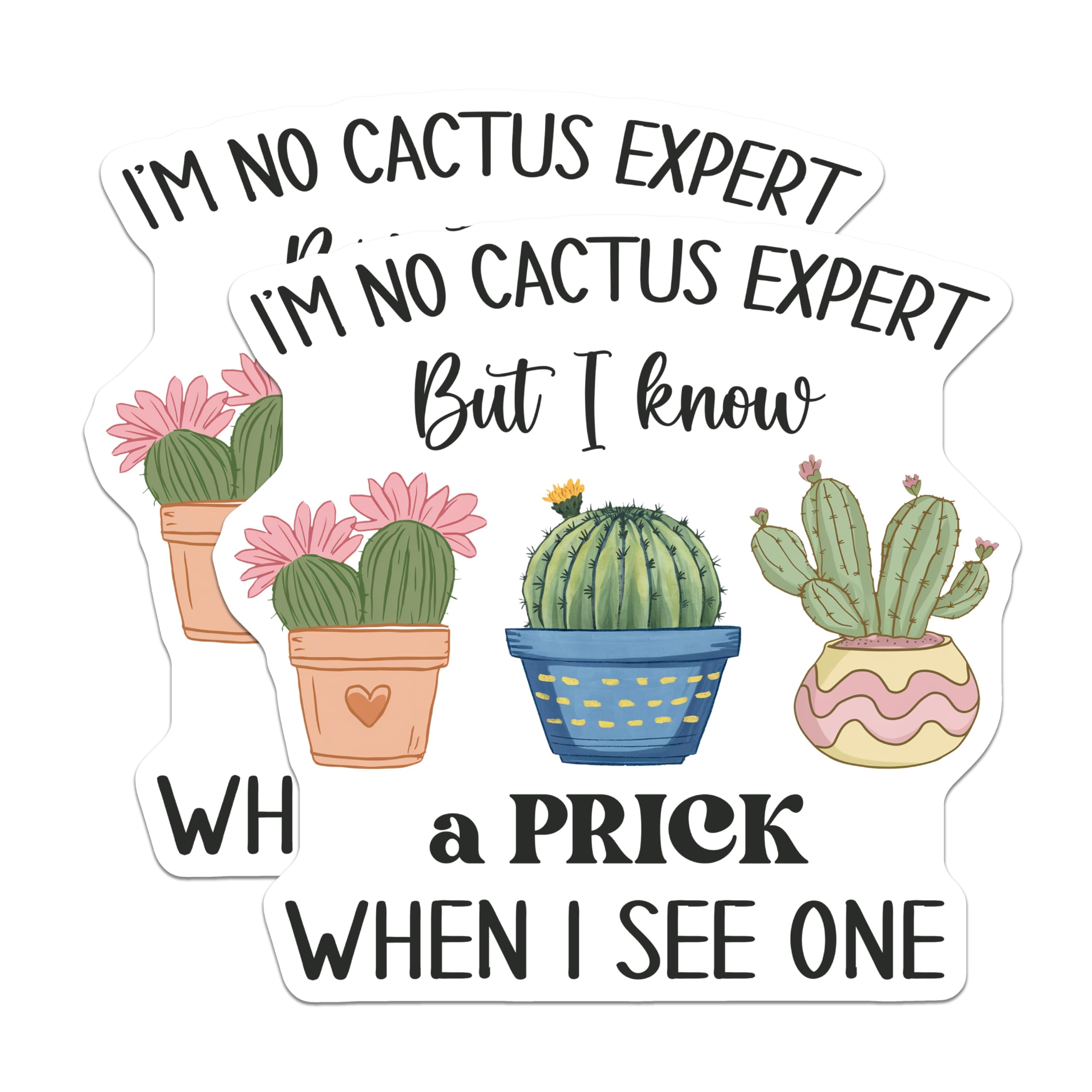(2 Pack) Funny Cactus Magnets - Sarcastic Prick Humor - Plant Lover Refrigerator Decor - 5" On Longest Side - Premium Magnet - for Cars, Refrigerators, Toolboxes, Lockers - Made in USA - MAG18487