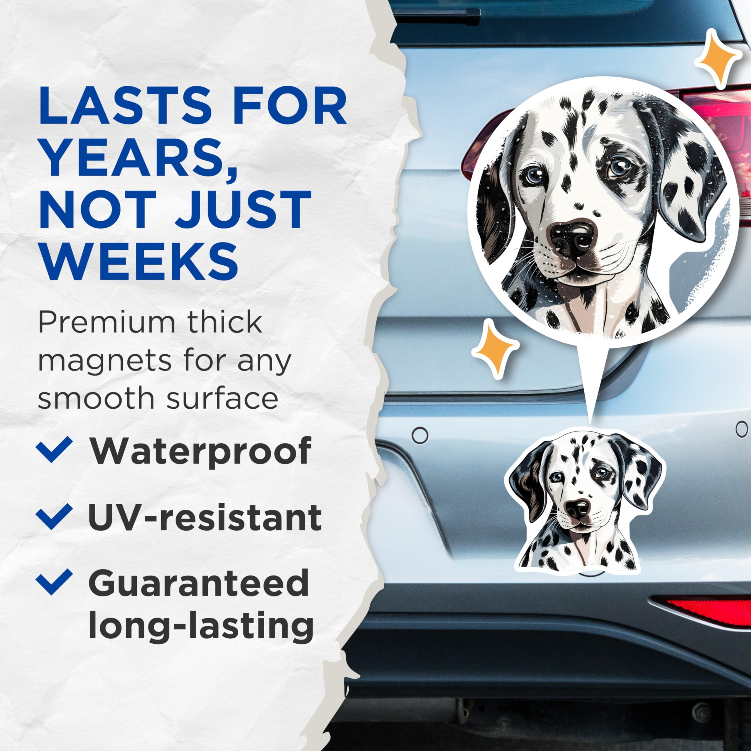 (2 Pack) Dalmatian Dog Magnets - Cute Puppy Portrait - Pet Lover Fridge Decor - Animal Lover Display - Dog Mom Accessory - 5 Inches On Longest Side - Thick Durable Magnet - Made in USA - MAG26631