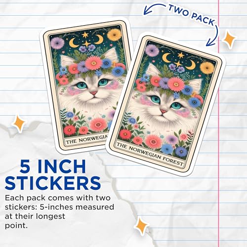 (2 Pack) Cat Lover Stickers - Artistic Cat Illustration Stickers - Floral Cat Design Stickers - 5" On Longest Side - Sticks to Smooth Flat Surfaces - Made in USA - BMCS5225