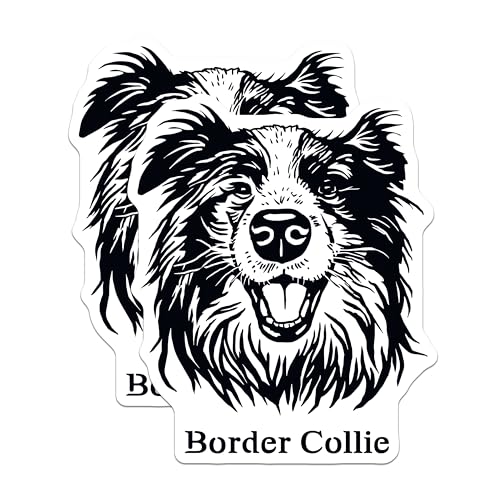 (2 Pack) Border Collie Dog Stickers - Pet Owner Gift - Border Collie DÃ©cor - 5" On Longest Side - Sticks to Smooth Flat Surfaces - Made in USA - BMCS4023