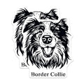 (2 Pack) Border Collie Dog Stickers - Pet Owner Gift - Border Collie DÃ©cor - 5" On Longest Side - Sticks to Smooth Flat Surfaces - Made in USA - BMCS4023