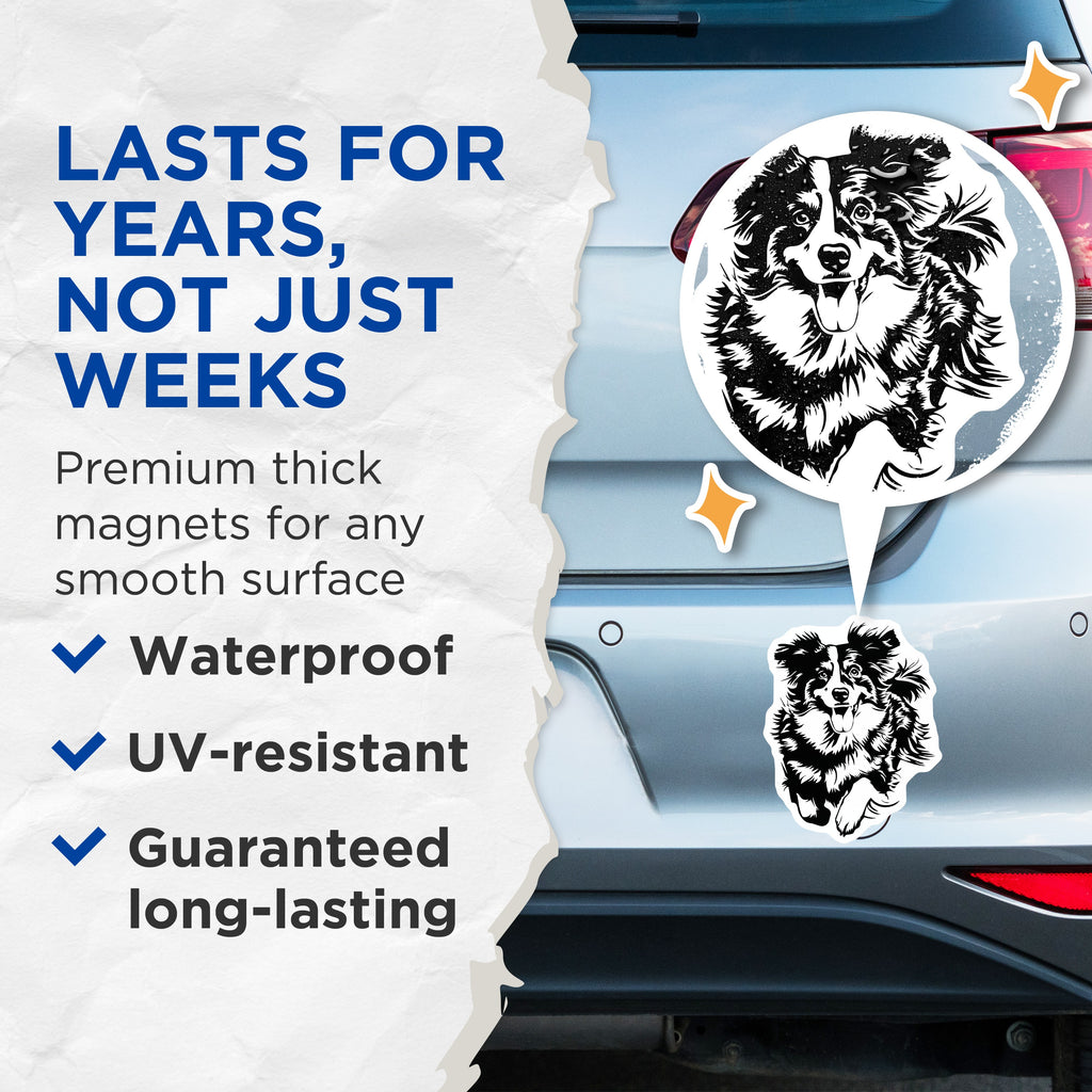 (2 Pack) Border Collie Magnets - Dog Lovers Decor - Pet Owner Appreciation Refrigerator Magnets - 5 Inches On Longest Side - Thick Durable Magnet - Made in USA - MAG39099