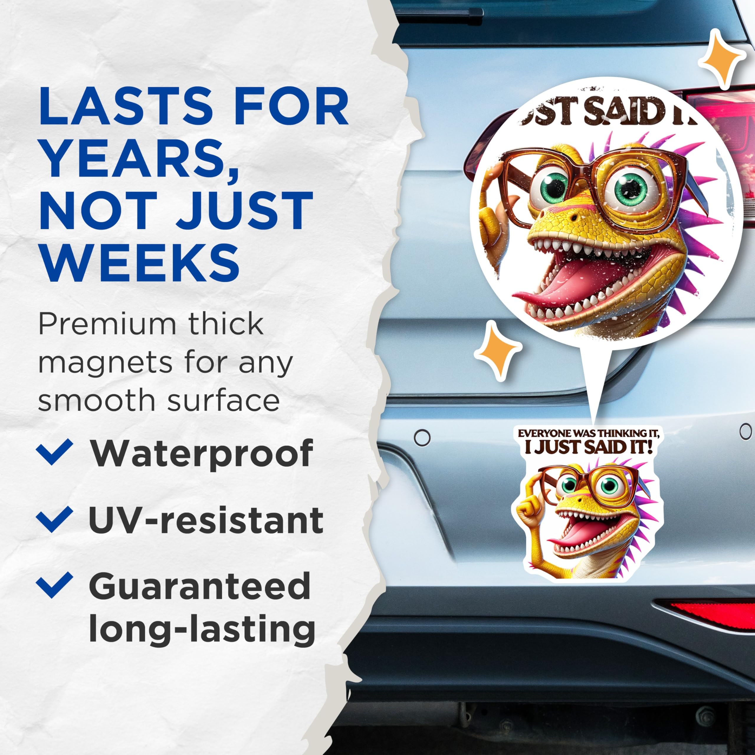 (2 Pack) Funny Lizard Magnets - Sarcastic Sayings Fridge Decor - Quirky Home Accessories - 5" On Longest Side - Premium Magnet - for Cars, Refrigerators, Toolboxes, Lockers - Made in USA - MAG14056