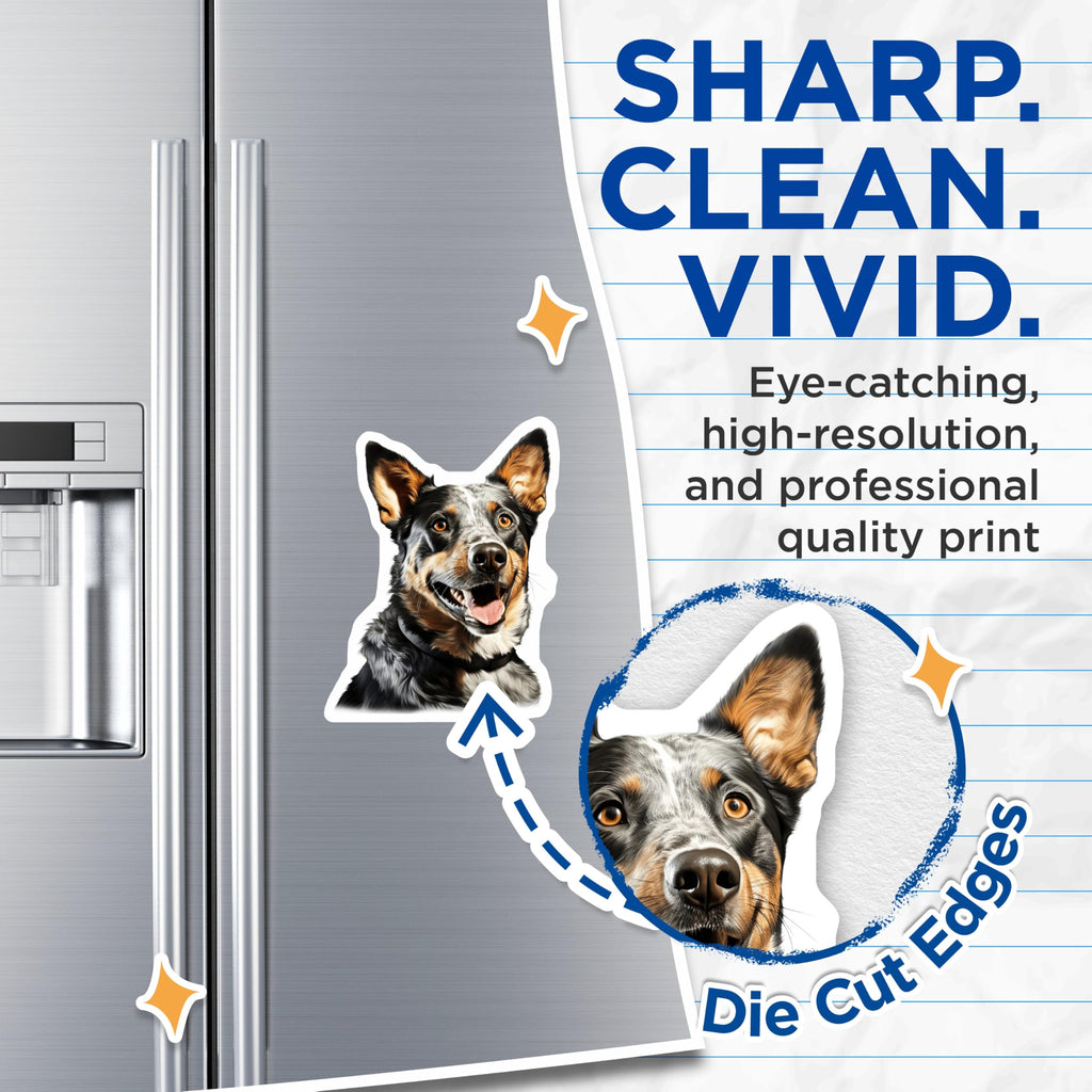 (2 Pack) Blue Heeler Dog Magnets - Australian Cattle Dog Magnet - Pet Lover Fridge Decor - 5 Inches On Longest Side - Thick Durable Magnet - Made in USA - MAG29992