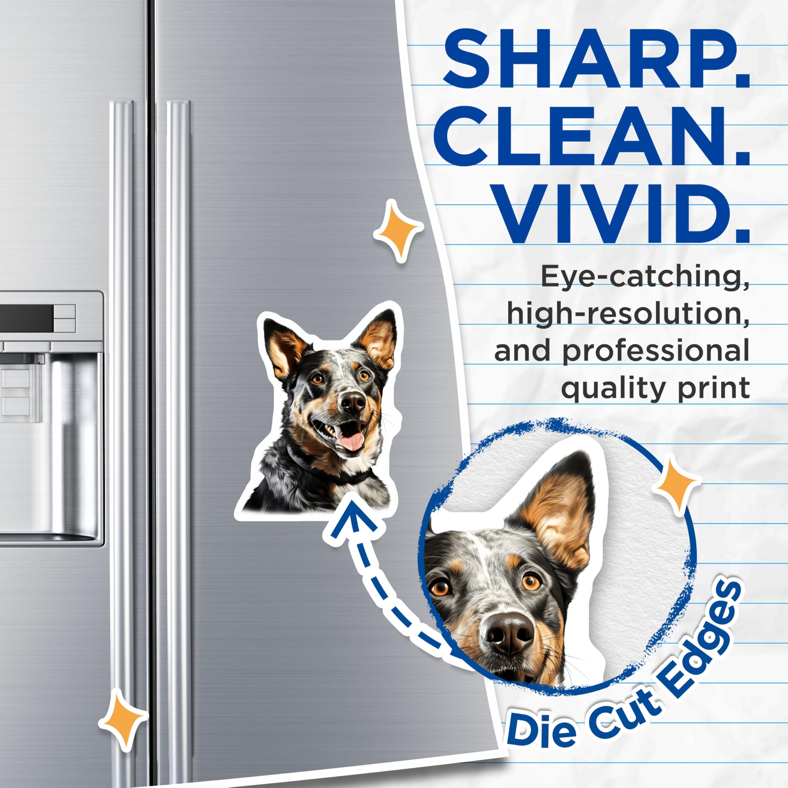 (2 Pack) Blue Heeler Dog Magnets - Australian Cattle Dog Magnet - Pet Lover Fridge Decor - 5 Inches On Longest Side - Thick Durable Magnet - Made in USA - MAG29992