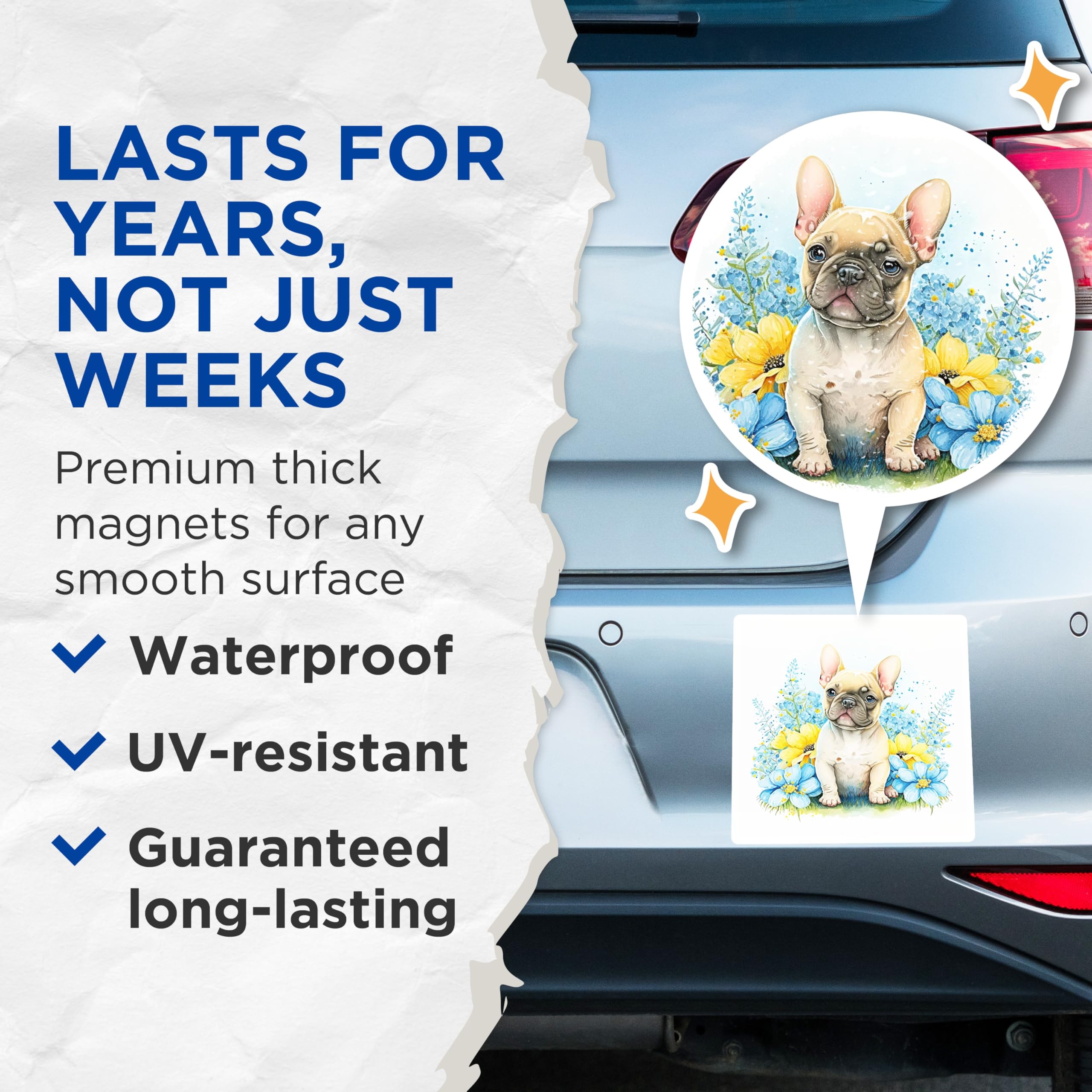(2 Pack) French Bulldog Magnets - Cute Dog - Floral Home Decor - 5" On Longest Side - Premium Magnet - for Cars, Refrigerators, Toolboxes, Lockers - Made in USA - MAG14971
