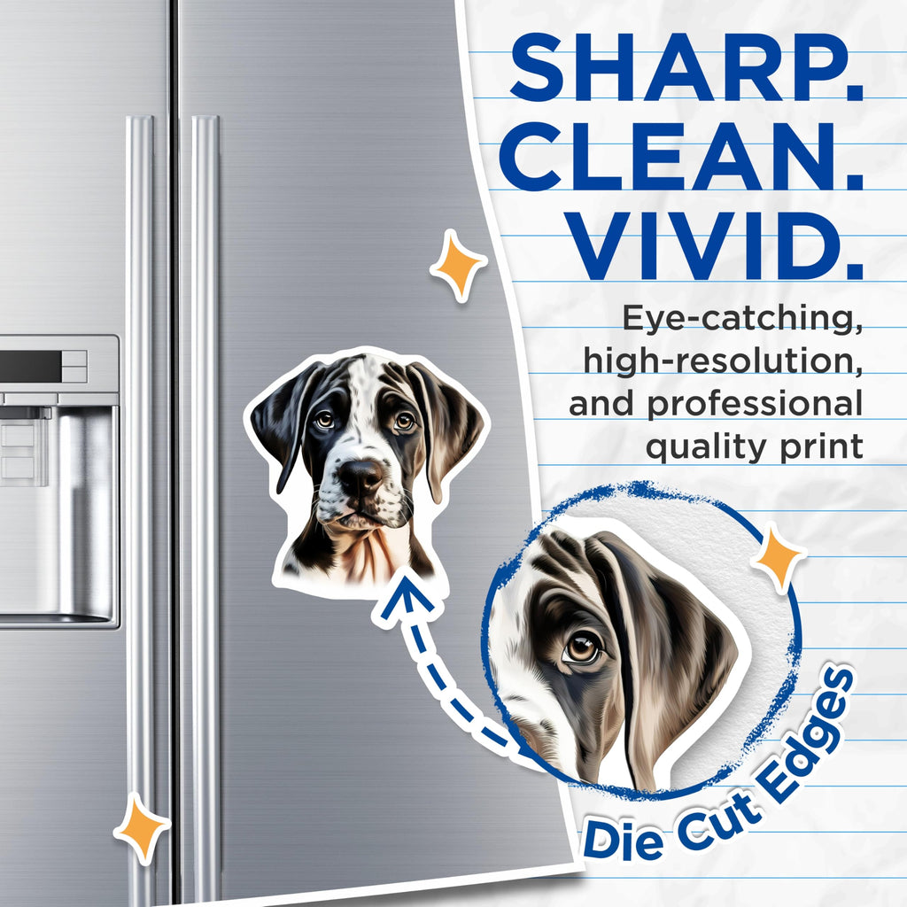 (2 Pack) Great Dane Puppy Magnets - Harlequin Dog Art - Pet Lover Home Decor - 5 Inches On Longest Side - Thick Durable Magnet - Made in USA - MAG23363