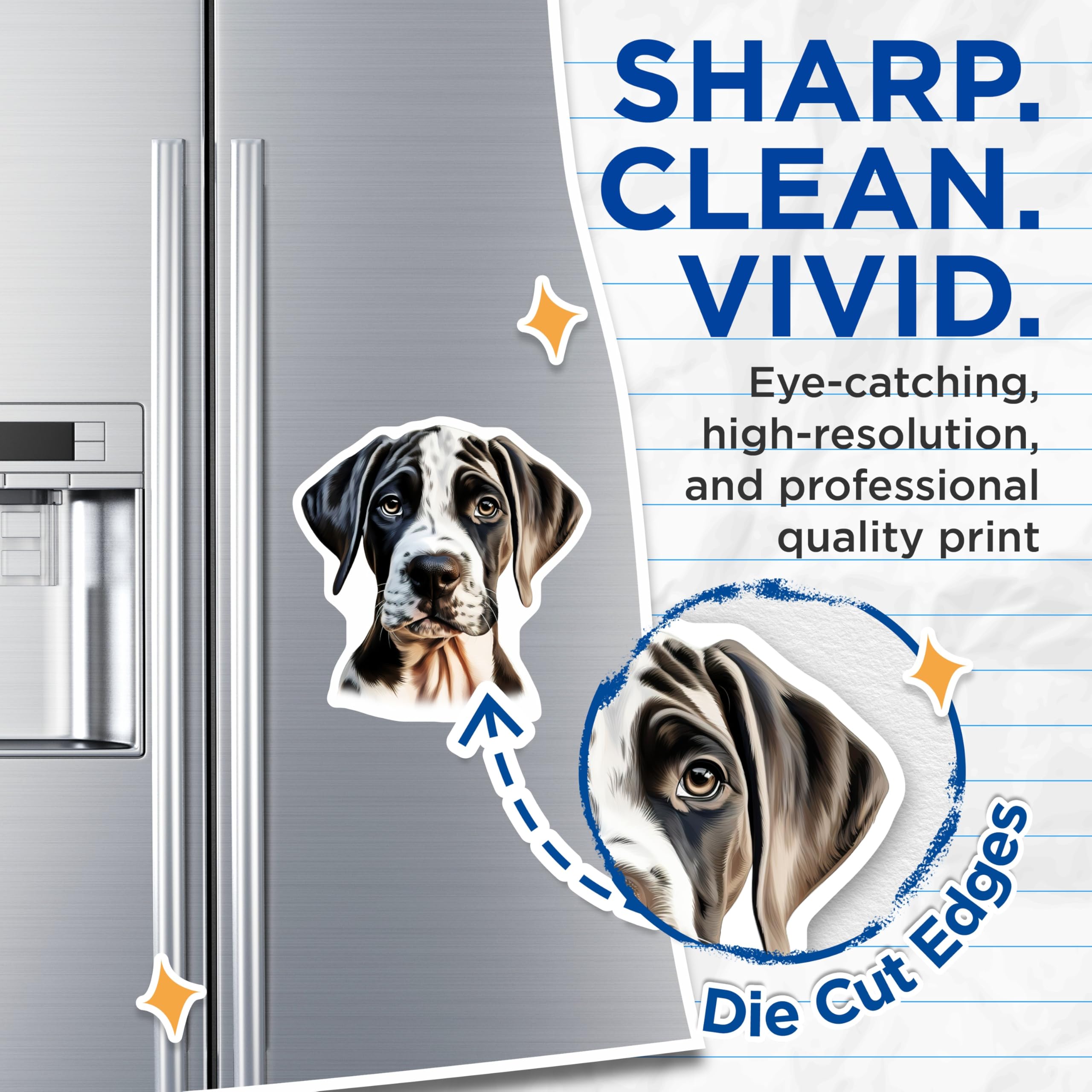 (2 Pack) Great Dane Puppy Magnets - Harlequin Dog Art - Pet Lover Home Decor - 5 Inches On Longest Side - Thick Durable Magnet - Made in USA - MAG23363