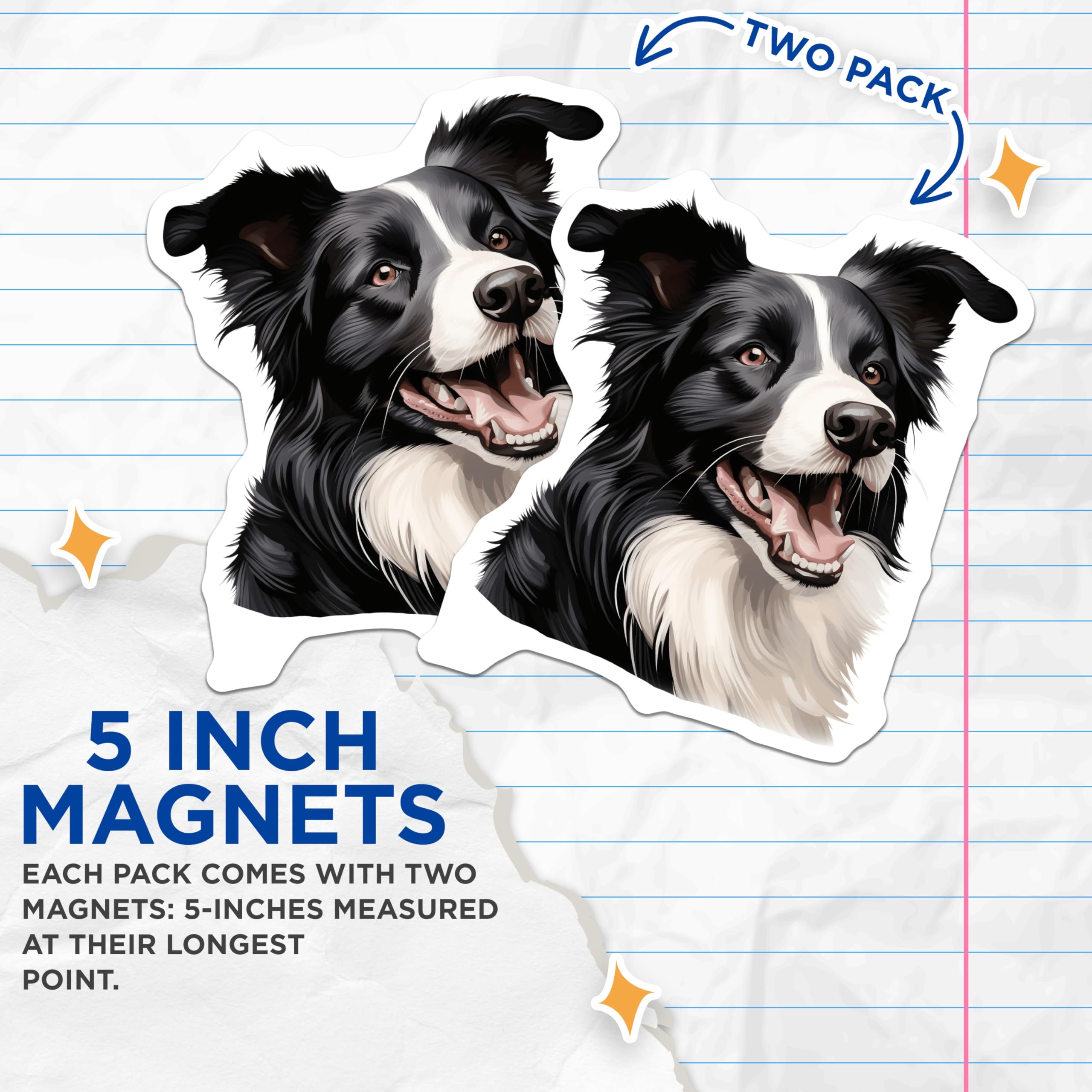 (2 Pack) Border Collie Magnets - Happy Dog Art - Pet Lover Refrigerator Decor - Dog Mom Dad Kitchen Accessory - 5 Inches On Longest Side - Thick Durable Magnet - Made in USA - MAG27574