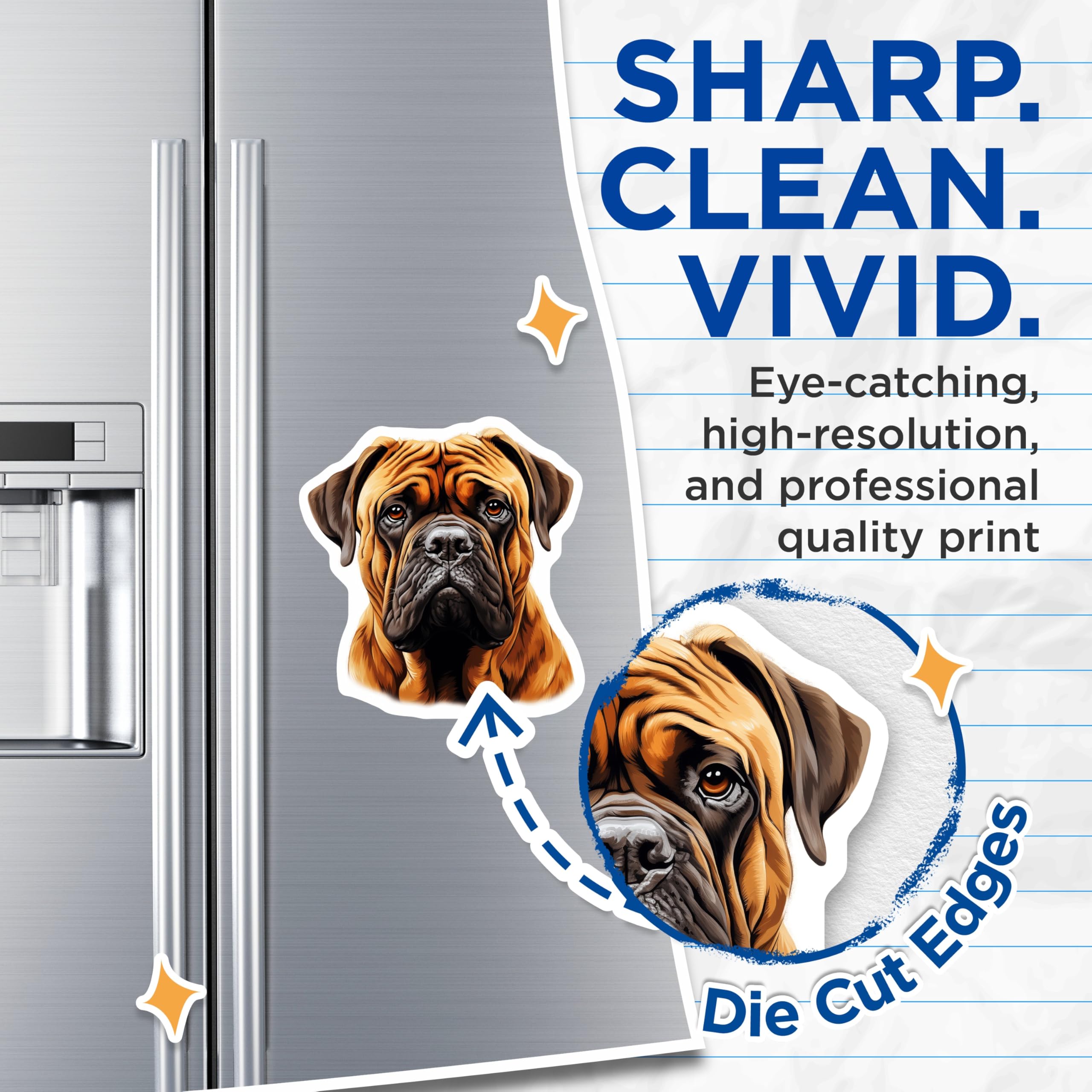 (2 Pack) Bullmastiff Dog Magnets - Realistic Canine Portrait - Pet Lover Home Decor - 5 Inches On Longest Side - Thick Durable Magnet - Made in USA - MAG27592