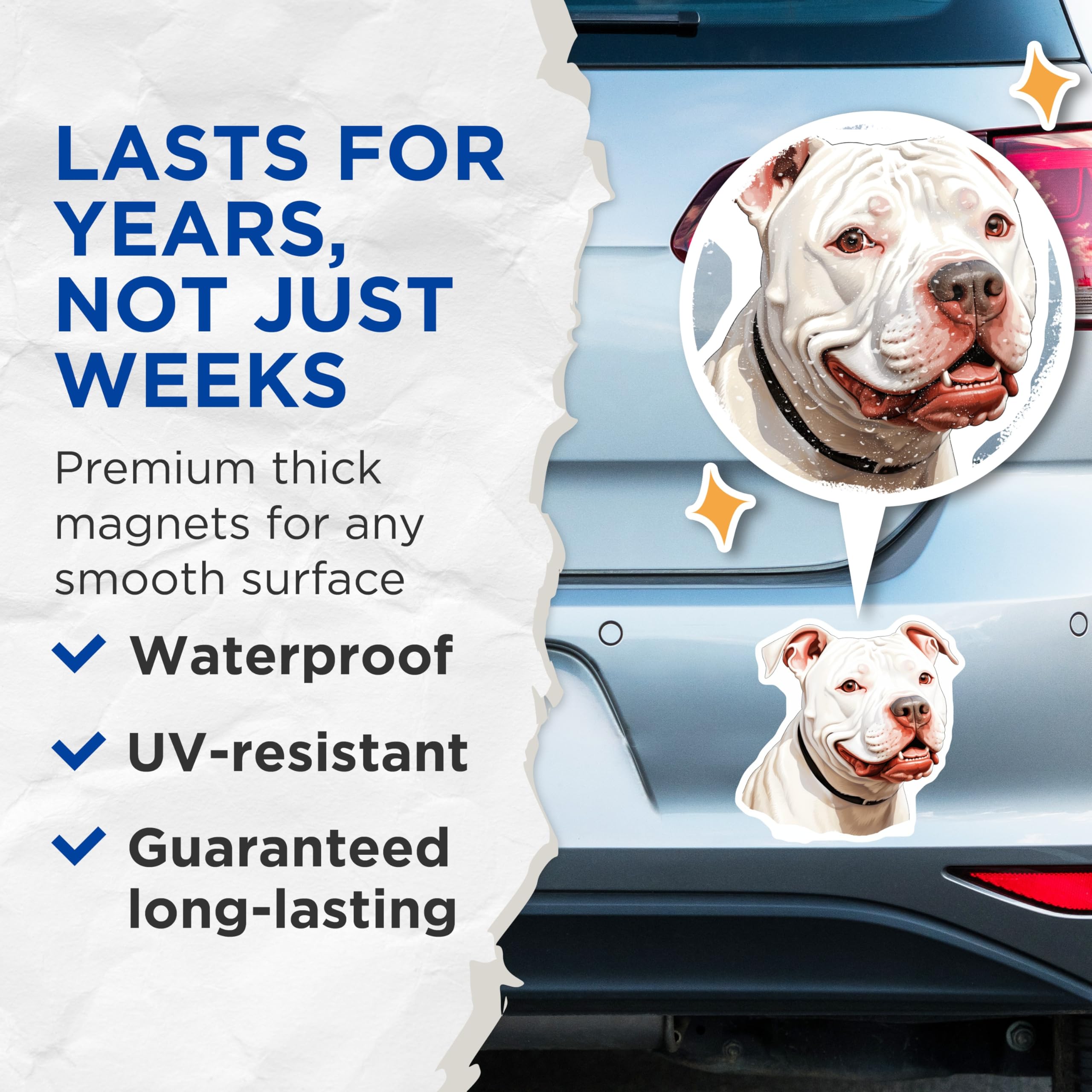 (2 Pack) White Pitbull Dog Magnets - American Pit Bull Terrier - Pet Lover Fridge Locker Accessory - 5 Inches On Longest Side - Thick Durable Magnet - Made in USA - MAG26158