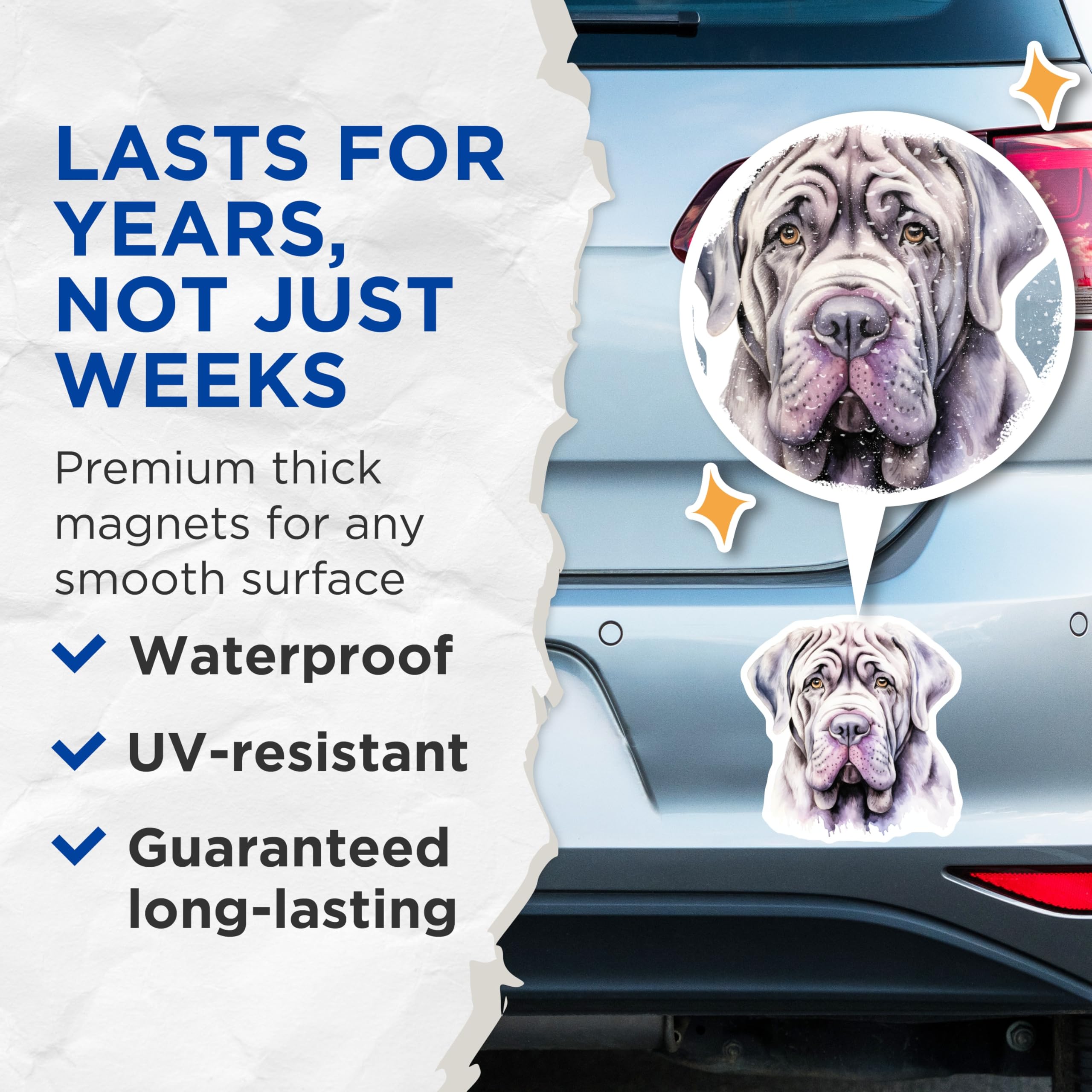 (2 Pack) Neapolitan Mastiff Magnets - Watercolor Dog Art - Pet Owner Decor - 5 Inches On Longest Side - Thick Durable Magnet - Made in USA - MAG29190
