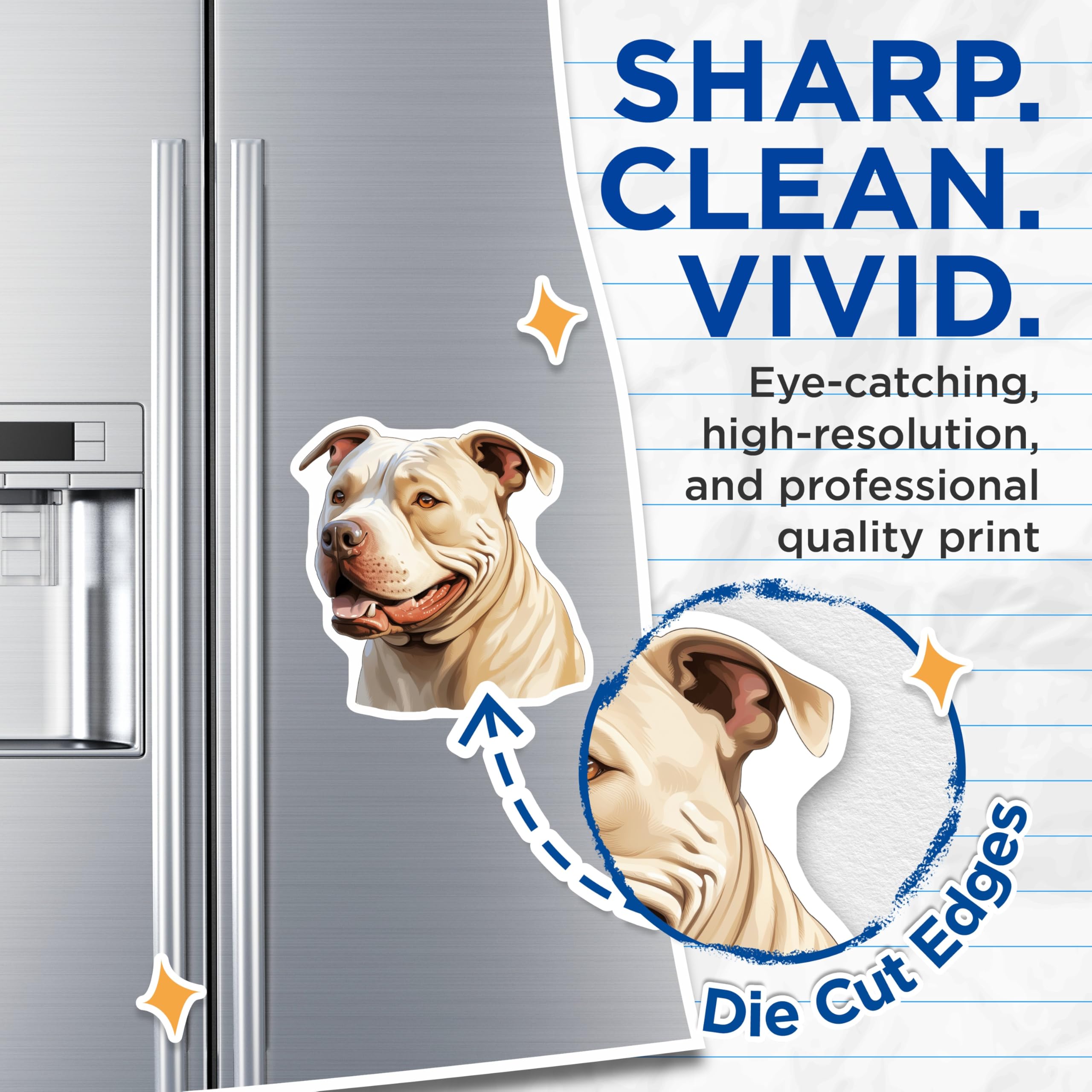 (2 Pack) Pitbull Dog Magnets - Cream Pitbull Face - Happy Pet Lover Decor - 5 Inches On Longest Side - Thick Durable Magnet - Made in USA - MAG28582