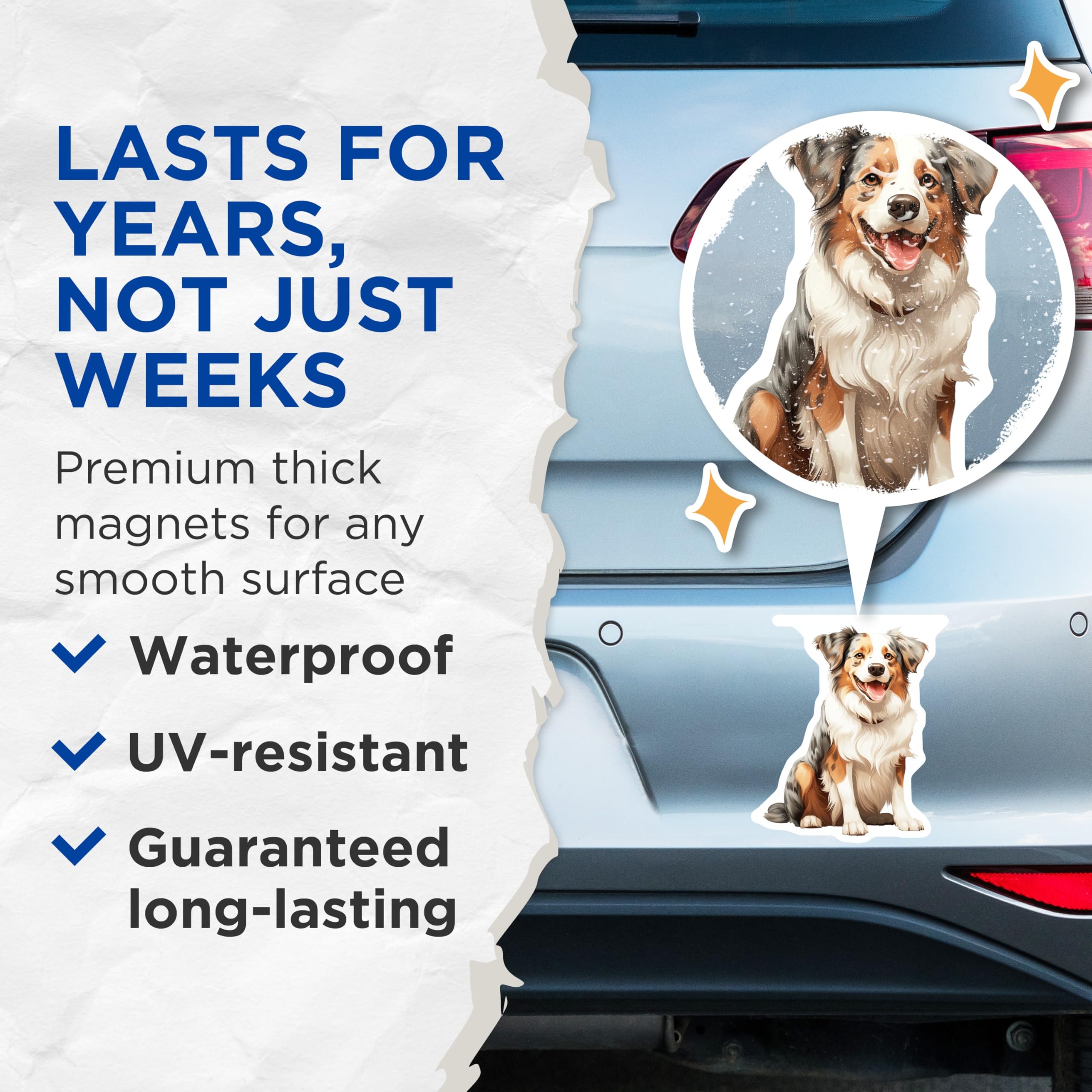 (2 Pack) Australian Shepherd Dog Magnets - Aussie Dog Lover Fridge Decor - Pet Parent Refrigerator Accessory - 5 Inches On Longest Side - Thick Durable Magnet - Made in USA - MAG27183