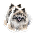 (2 Pack) Keeshond Dog Magnets - Watercolor Pet Art - Fluffy Dog Lover Decor - Cute Animal Lover Items - 5 Inches On Longest Side - Thick Durable Magnet - Made in USA - MAG25980