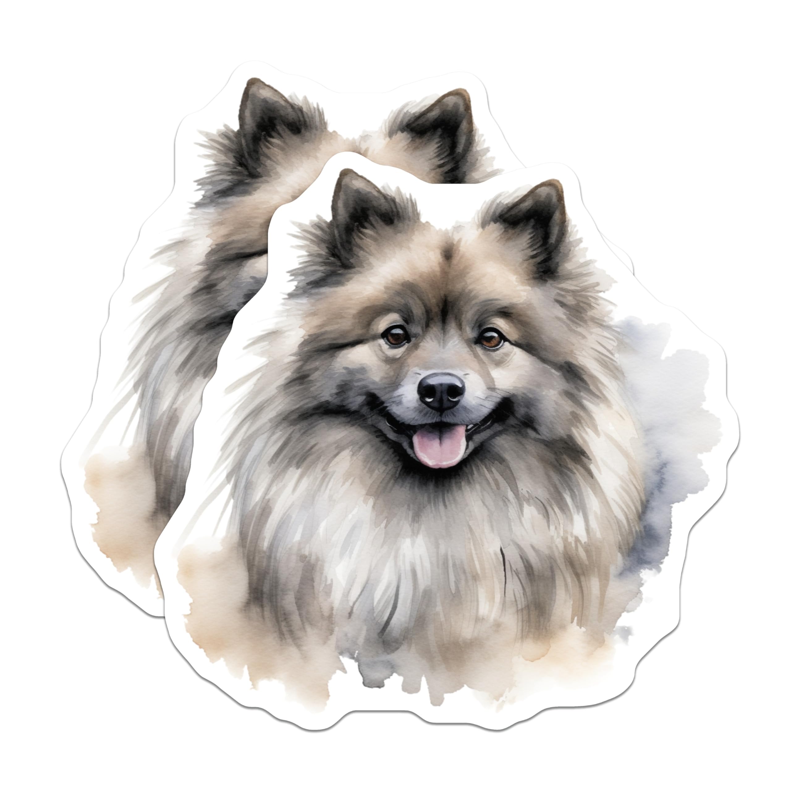 (2 Pack) Keeshond Dog Magnets - Watercolor Pet Art - Fluffy Dog Lover Decor - Cute Animal Lover Items - 5 Inches On Longest Side - Thick Durable Magnet - Made in USA - MAG25980