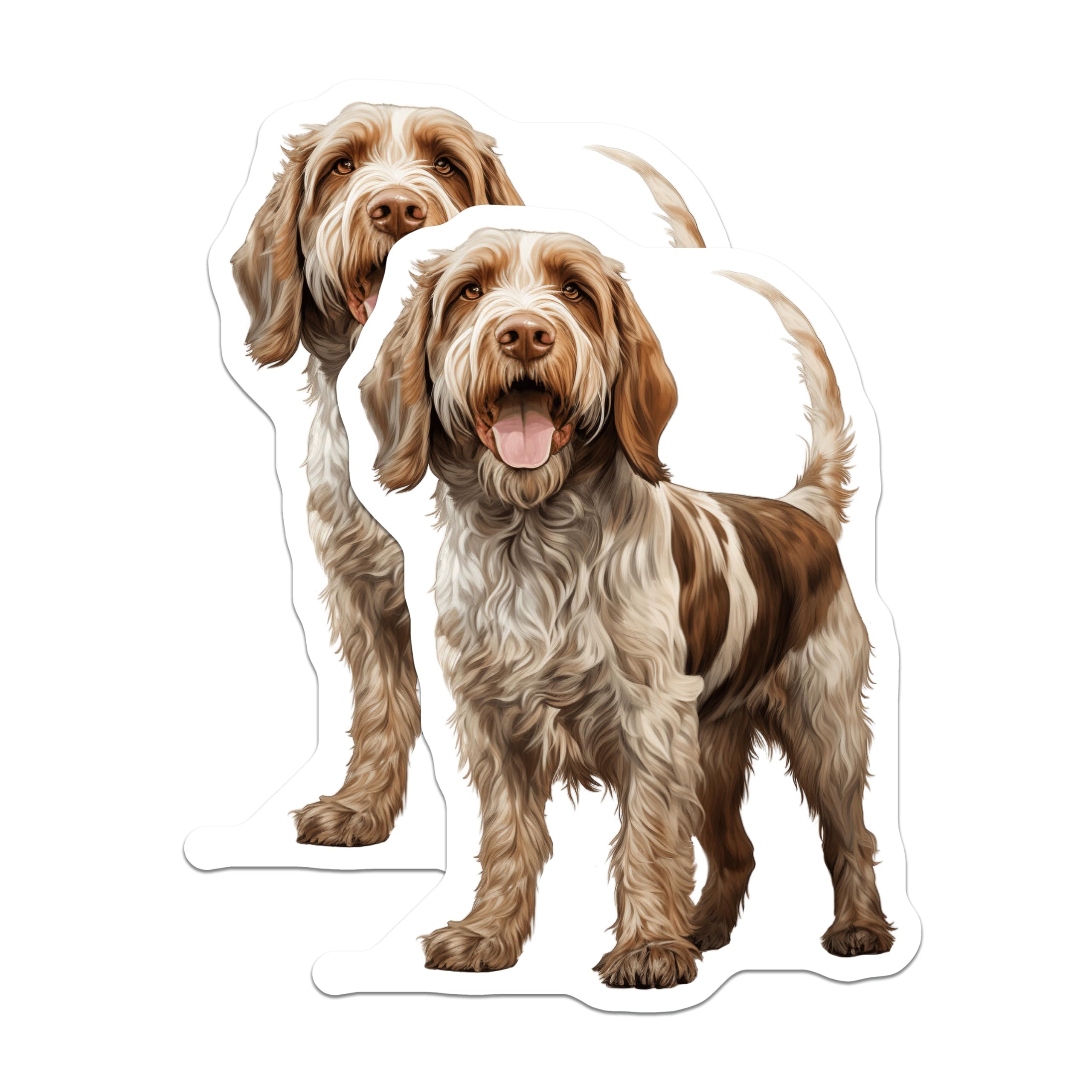 (2 Pack) Spinone Italiano Dog Magnets - Realistic Canine Art - Pet Lover Fridge Decor - 5 Inches On Longest Side - Thick Durable Magnet - Made in USA - MAG29776
