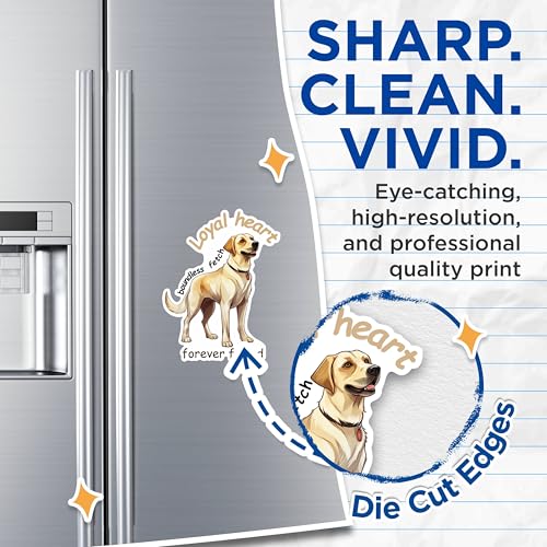 (2 Packs) Loyal Heart Boundless Fetch Forever Friend Magnets - Golden Lab Magnets - 5 Inches On Longest Side - Premium Magnet - for Fridges, Toolboxes, Cars - Made in USA - MAG2355