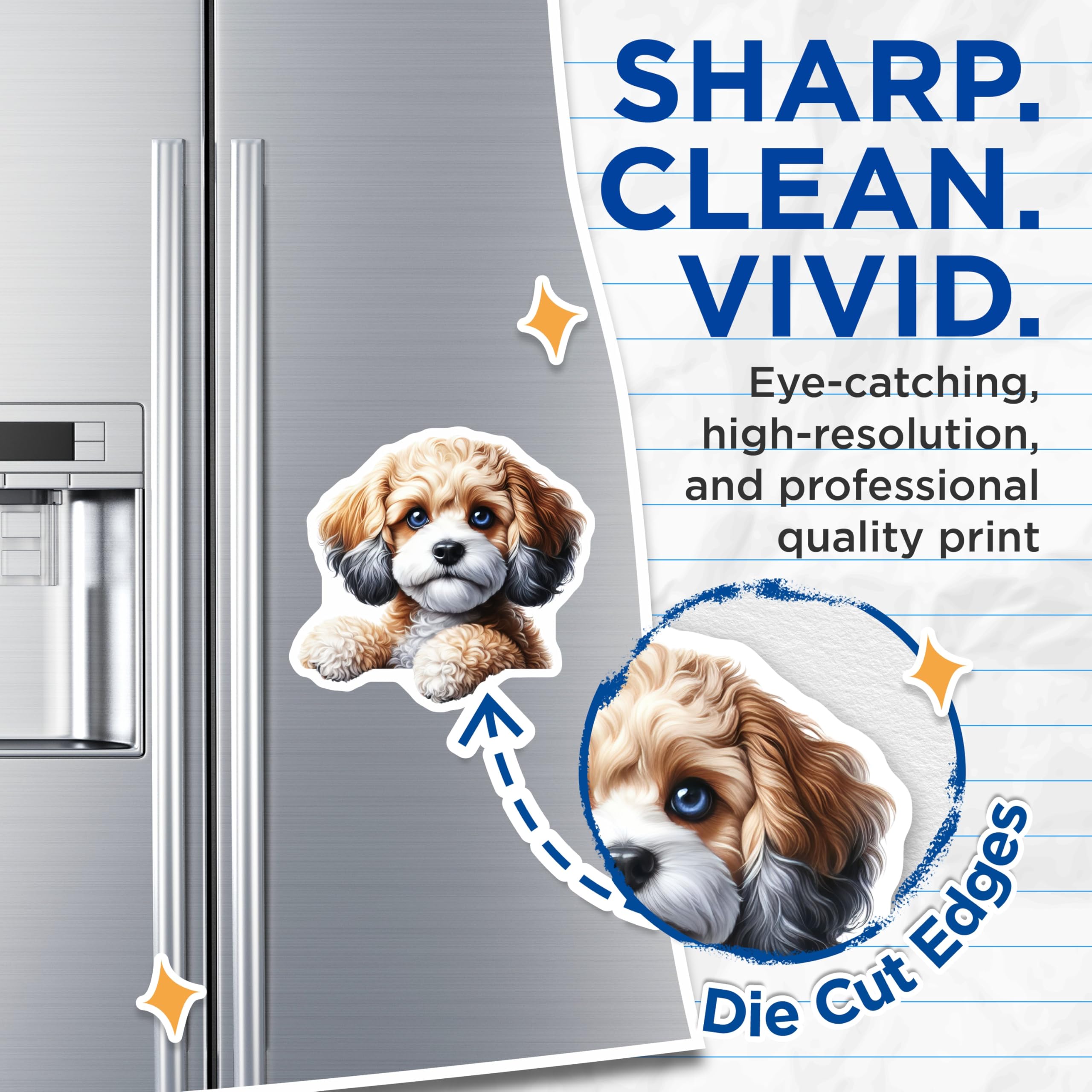 (2 Pack) Cavapoo Magnets - Dog Breed Magnet - Cute Animal Refrigerator Magnets - 5" On Longest Side - Premium Magnet - for Cars, Refrigerators, Toolboxes, Lockers - Made in USA - MAG14709