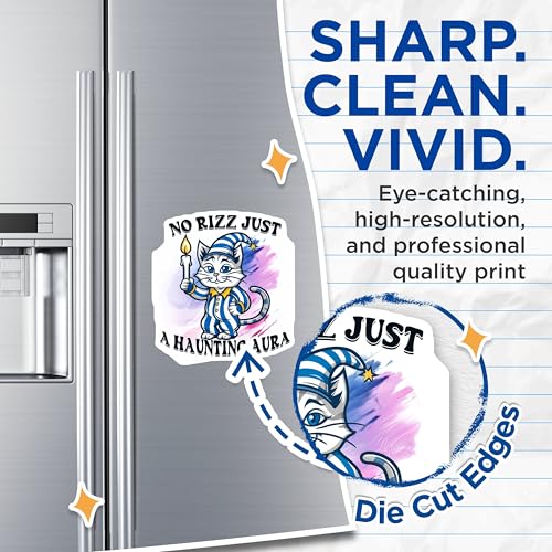 (2 Pack) No Rizz Just A Haunting Aura Magnets - Humorous Cat Art - Cute Halloween for Fridge or Locker - 5" On Longest Side - for Cars, Fridges, Toolboxes - Made in USA - MAG4343