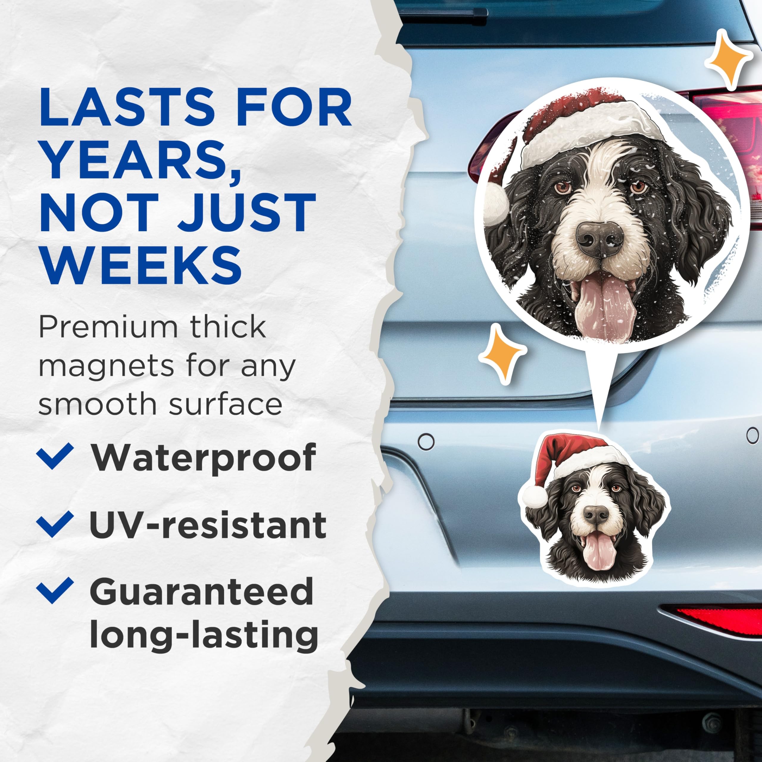 (2 Pack) Christmas Dog Magnets - Santa Hat Canine Decor - Bernese Mountain Dog Art - Seasonal Refrigerator Magnets - 5 Inches On Longest Side - Thick Durable Magnet - Made in USA - MAG23543