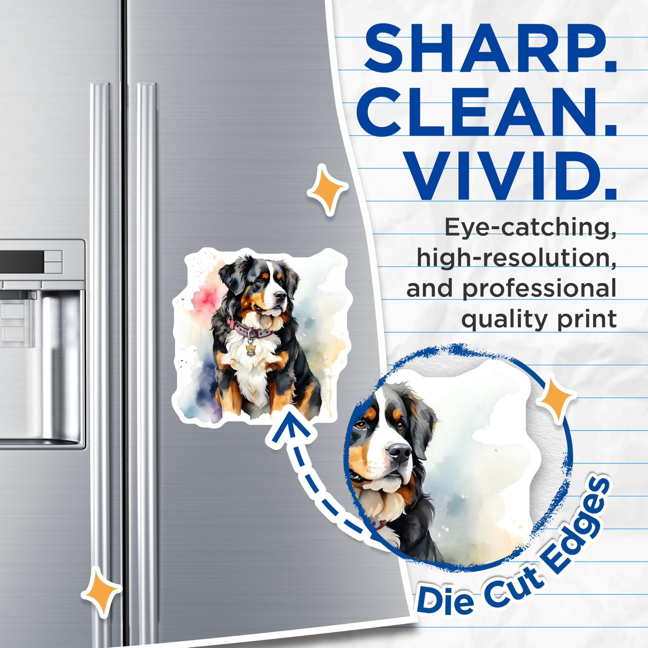 (2 Pack) Bernese Mountain Dog Magnets - Cute Dog - Home Decor - 5" On Longest Side - Premium Magnet - for Cars, Refrigerators, Toolboxes, Lockers - Made in USA - MAG15876