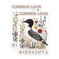 (2 Pack) Common Loon Magnets - Minnesota State Bird Artwork - Northwoods Wildlife Refrigerator Decor - 5 Inches On Longest Side - Thick Durable Magnet - Made in USA - MAG19078