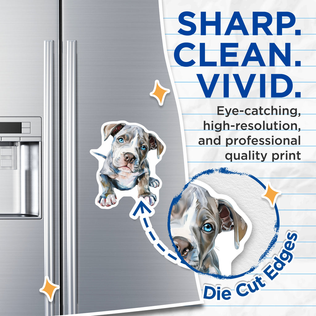 (2 Pack) Pitbull Puppy Magnets - Watercolor Dog Art - Blue Eyed Canine Decor - Dog Mom Fridge Accent - 5 Inches On Longest Side - Thick Durable Magnet - Made in USA - MAG36032