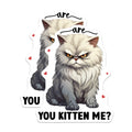 (2 Pack) Grumpy Cat Magnets - Funny Kitten Me Phrase - Sarcastic Cat Refrigerator Decor - Pet Owner Humor - 5 Inches On Longest Side - Thick Durable Magnet - Made in USA - MAG36518