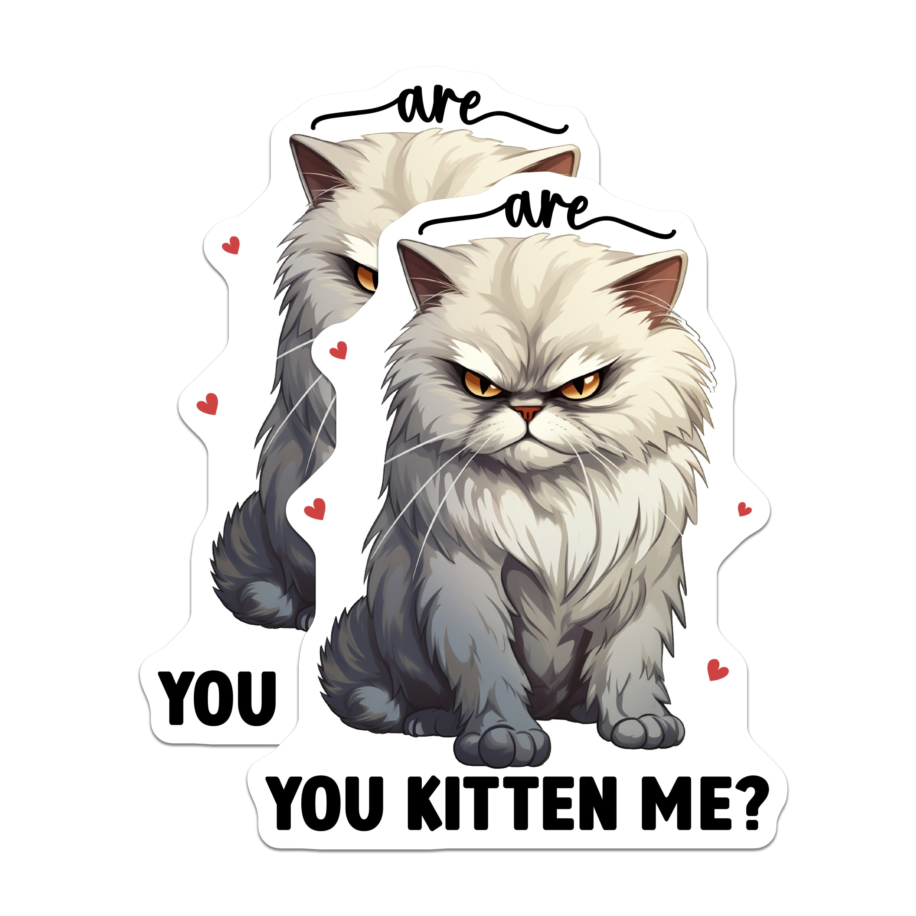 (2 Pack) Grumpy Cat Magnets - Funny Kitten Me Phrase - Sarcastic Cat Refrigerator Decor - Pet Owner Humor - 5 Inches On Longest Side - Thick Durable Magnet - Made in USA - MAG36518