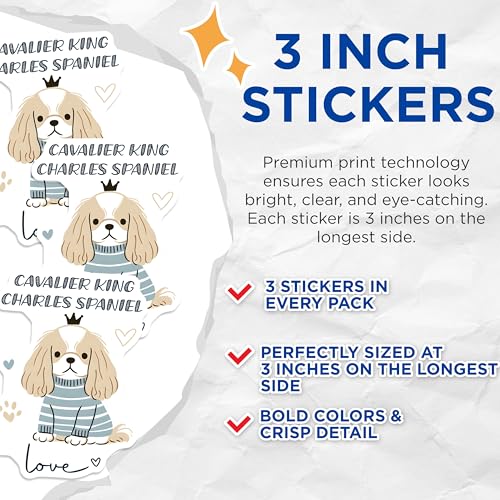 (3 Pack) Cavalier King Charles Spaniel Decals - Cute Dog Stickers - Laptop Decal - 3 Inches On Longest Side - Easy Peel & Apply - Made in USA - 3MCS6059