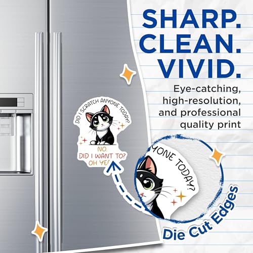 (2 Pack) Funny Cat Magnets - Scratch Anyone Today? Cat Lover Humorous Decor - 5" On Longest Side - for Cars, Fridges, Toolboxes - Made in USA - MAG7336