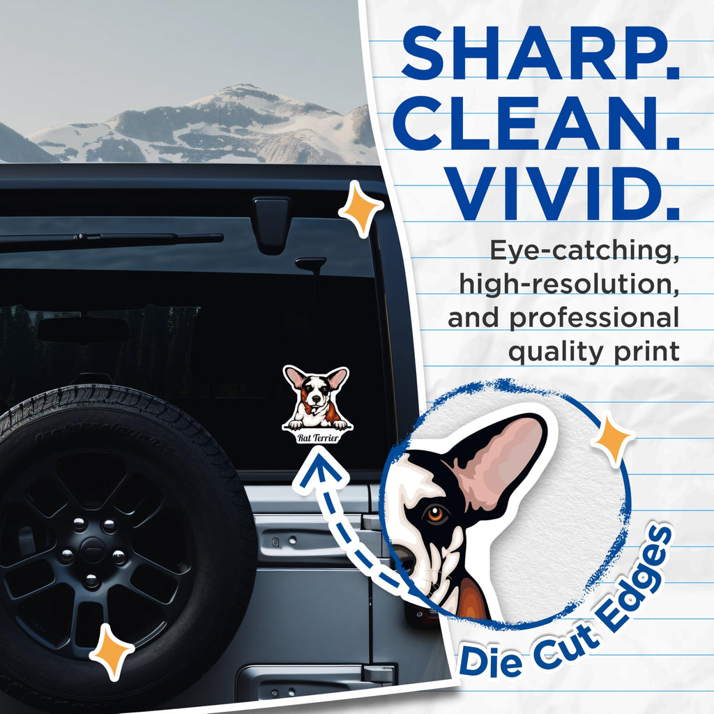 (2 Pack) Rat Terrier Dog Stickers - Cute Dog Breed Stickers - Pet Lover Sticker Pack - 5" On Longest Side - Sticks to Smooth Flat Surfaces - Made in USA - BMCS4219