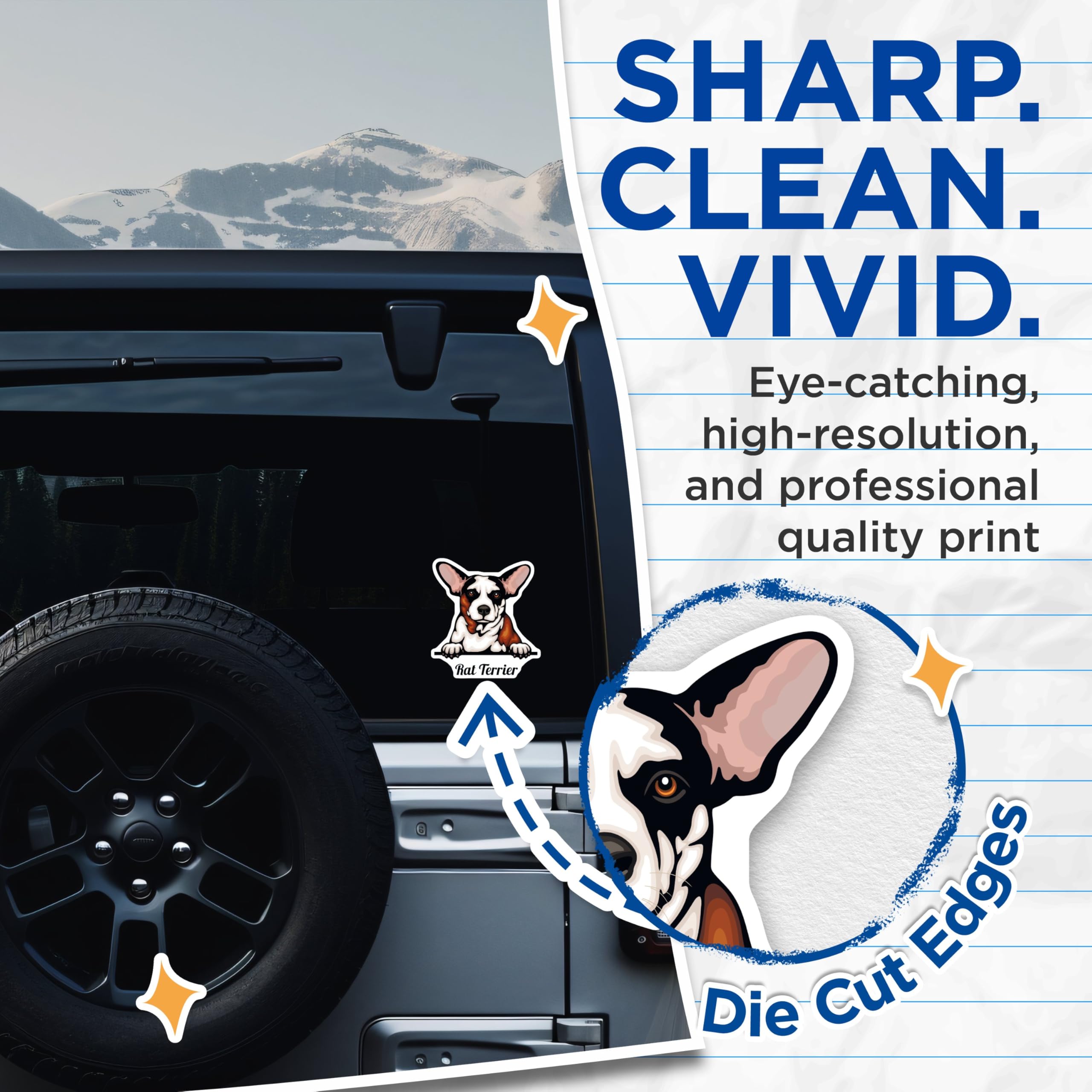 (2 Pack) Rat Terrier Dog Stickers - Cute Dog Breed Stickers - Pet Lover Sticker Pack - 5" On Longest Side - Sticks to Smooth Flat Surfaces - Made in USA - BMCS4219