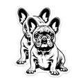 (2 Pack) French Bulldog Magnets - Adorable Frenchie Puppy Decor - Dog Lover Home Accessory - Frenchie Mom Dad - 5 Inches On Longest Side - Thick Durable Magnet - Made in USA - MAG37127