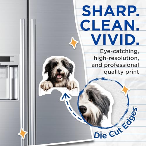 (2 Pack) Pet Lover Home Decor Magnet - 5" On Longest Side - Sticks to Smooth Flat Surfaces - Made in USA - MAG10252